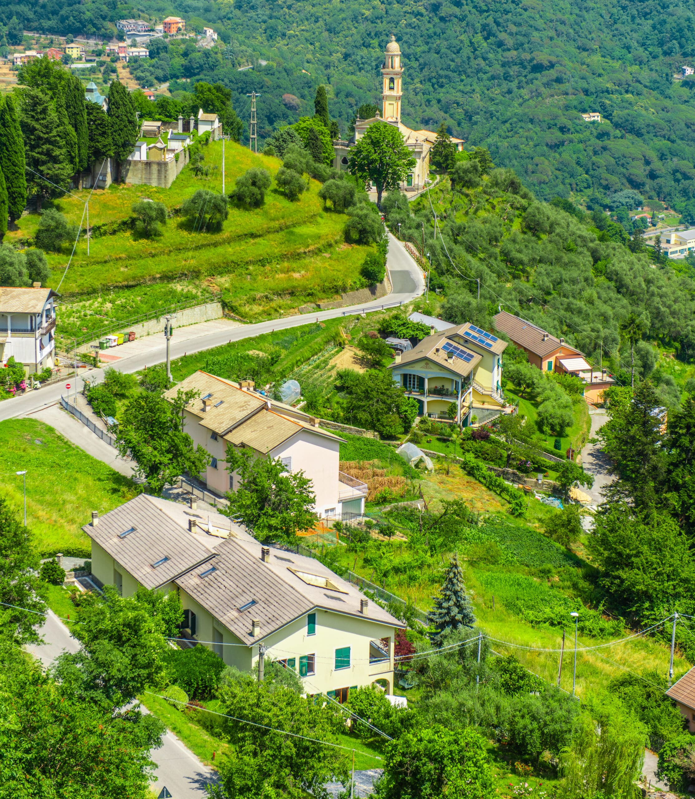 COREGLIA PANORAMICA VERTICALE 1