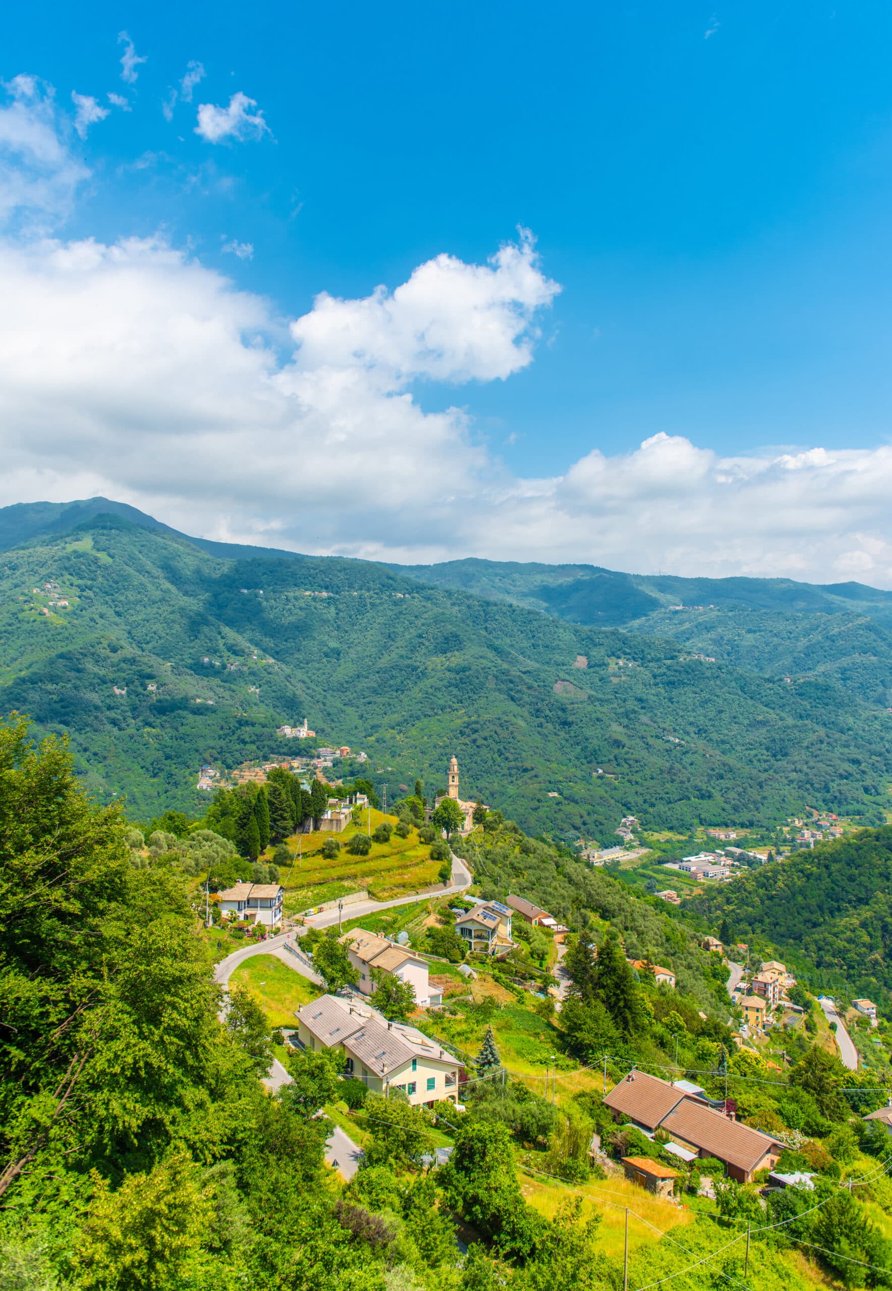 COREGLIA PANORAMICA VERTICALE