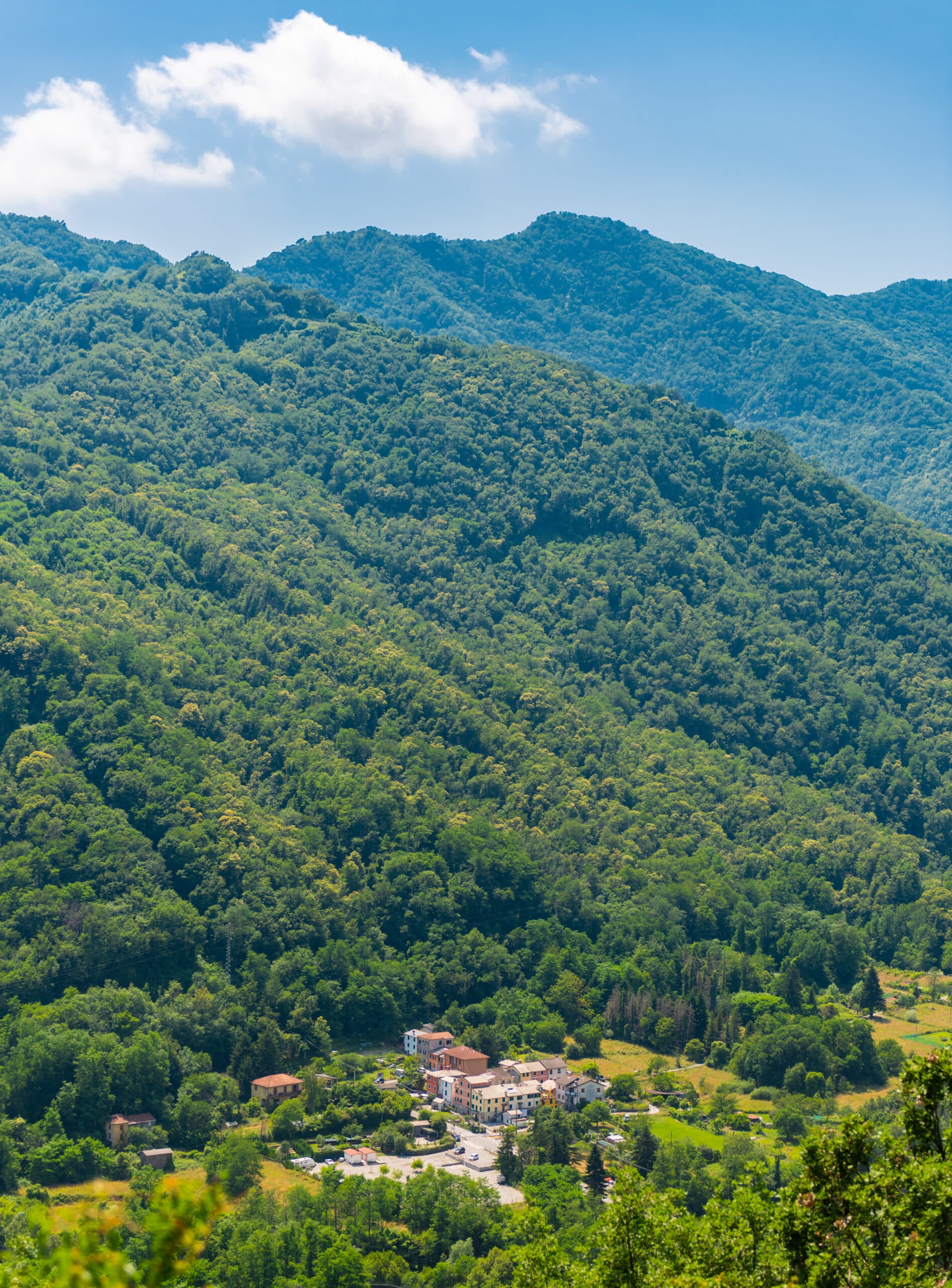 PIANDEIMANZI - PANORAMICA